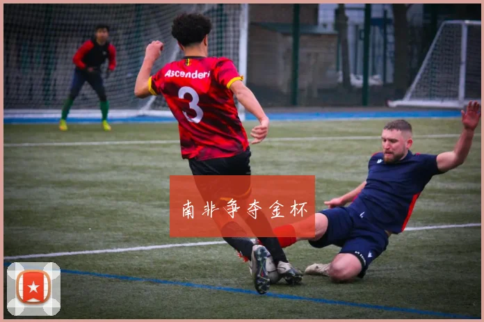 南非争夺金杯