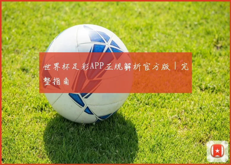 世界杯足彩APP正规解析官方版｜完整指南