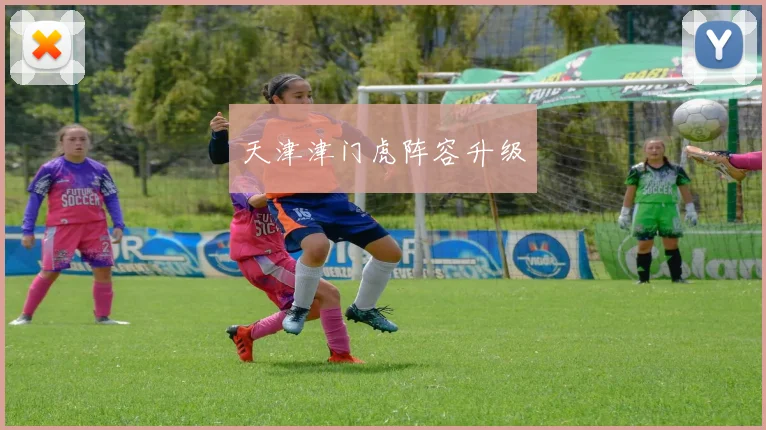 天津津门虎阵容升级