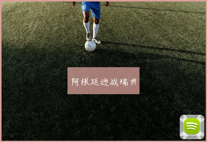 阿根廷迎战瑞典