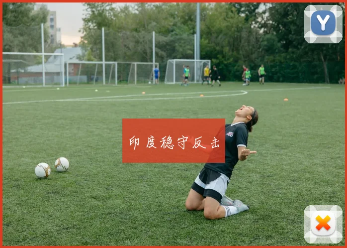 印度稳守反击
